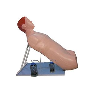 Thoracic Cavity Closed Drainage Training Manikin